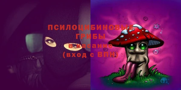 прущий лед Богданович